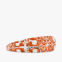 Dolce & Gabbana Kids Girls Accessory In Orange