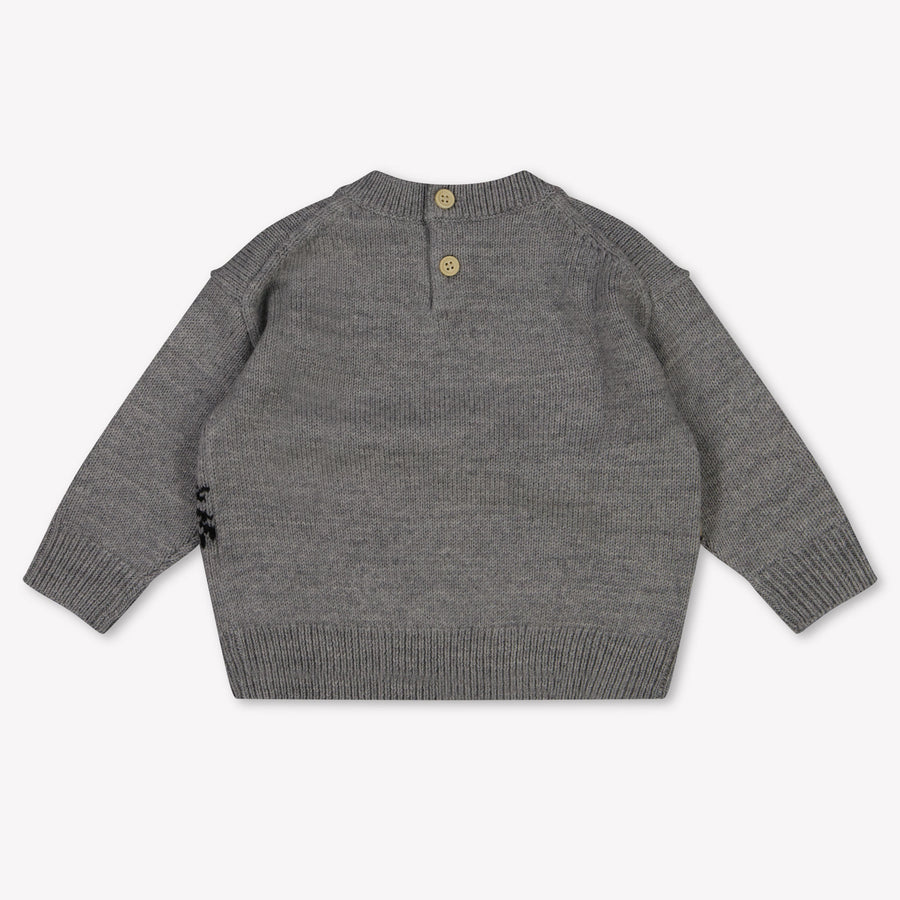 Burberry Baby Unisex Trui In Grijs