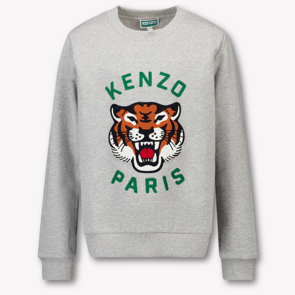 Kenzo kids Kinder Jongens Trui In Grijs