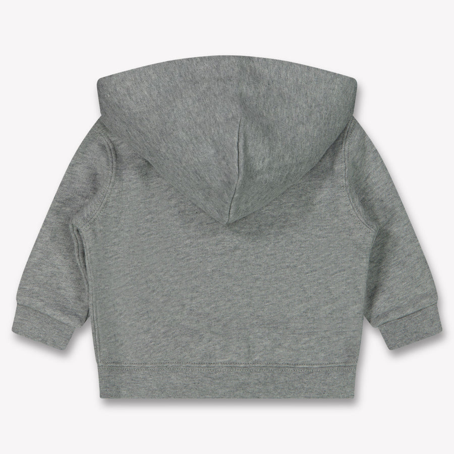 Ralph Lauren Baby Jongens Vest In Licht Grijs