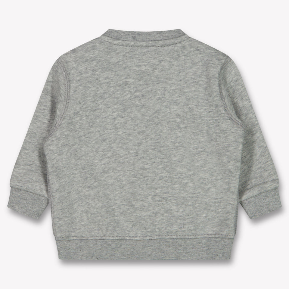 Ralph Lauren Baby Jongens Trui In Grijs