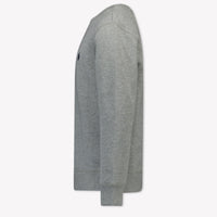 Ralph Lauren Kids Boys Sweater  Light Gray