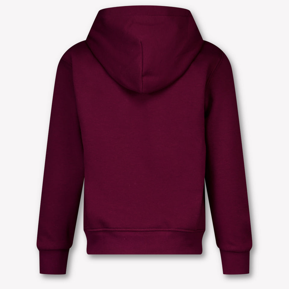 Ralph Lauren Kinder Jongens Trui In Bordeaux