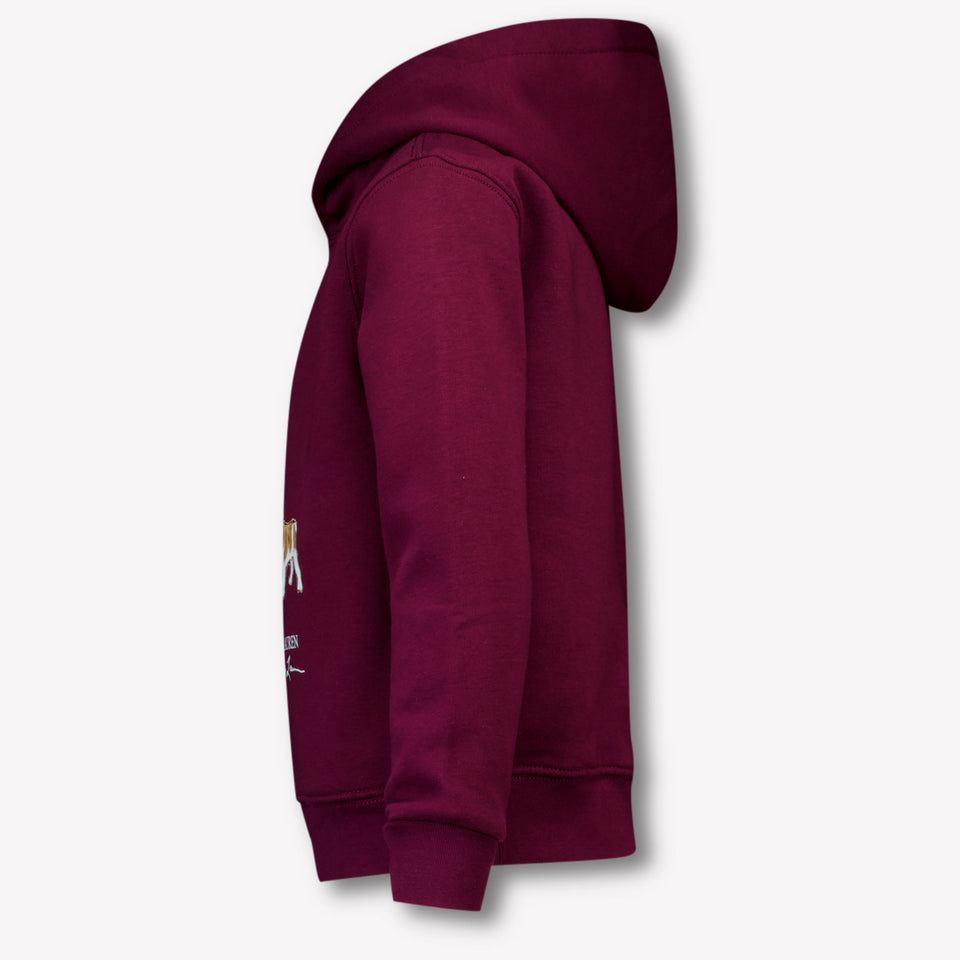 Ralph Lauren Kinder Jongens Trui In Bordeaux