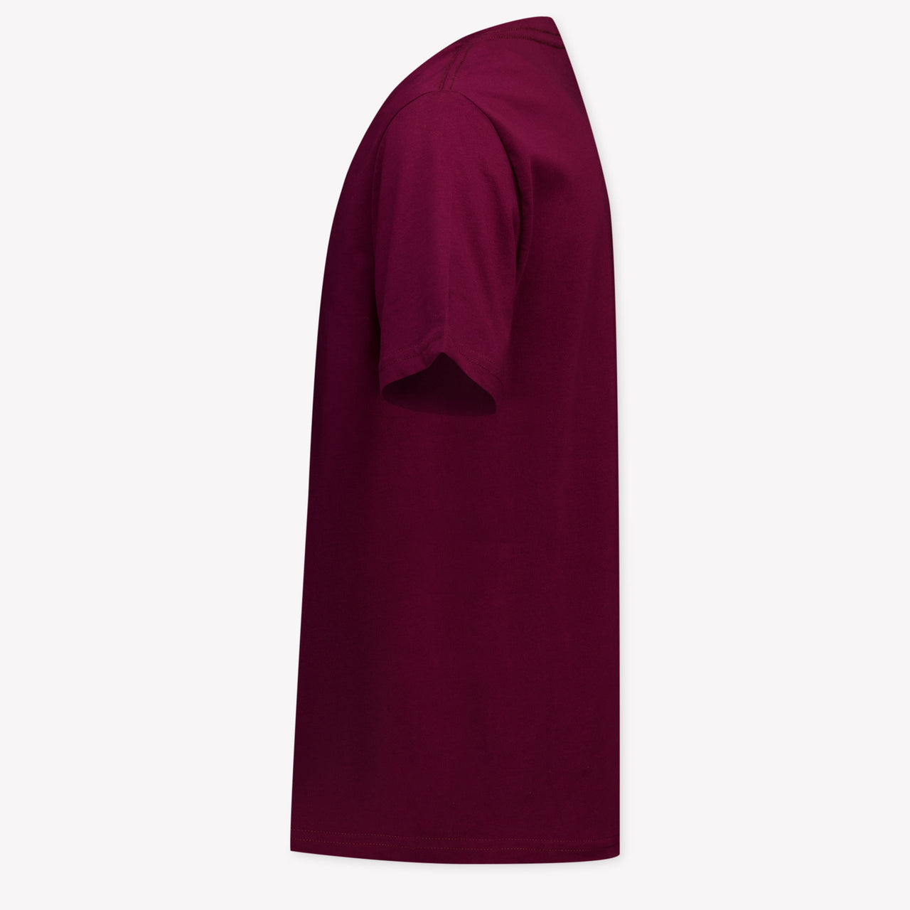 Ralph Lauren Kids Boys T-Shirt In Bordeaux