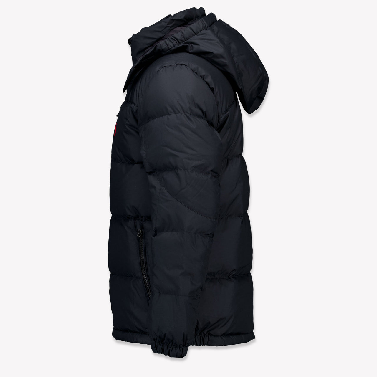 Ralph Lauren Kids Boys Jackets In Black
