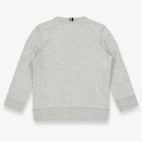 Tommy Hilfiger Baby Jongens Trui In Grijs
