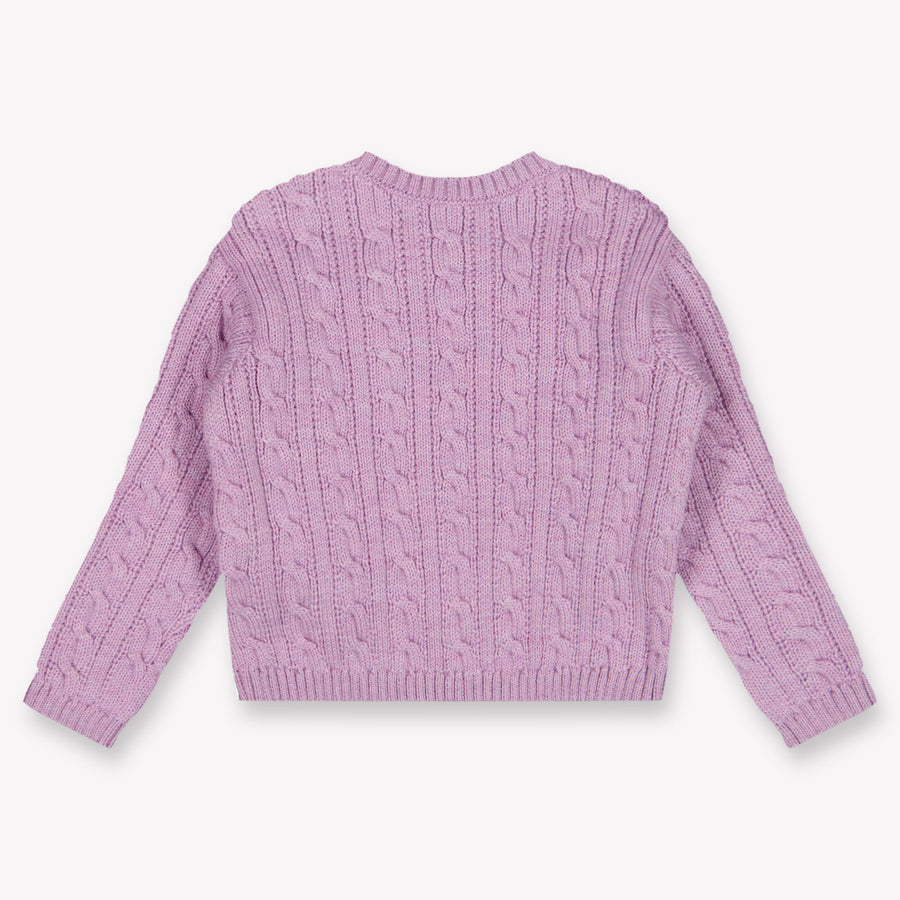 Dolce & Gabbana Baby Meisjes Trui In Lila