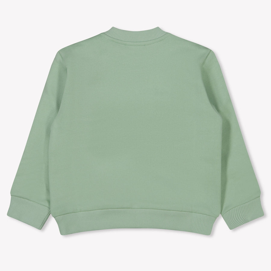 Dolce & Gabbana Baby Jongens Trui In Mint