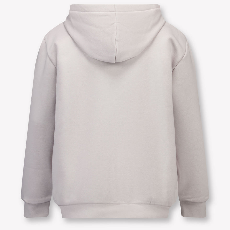 Iceberg Kids Boys Sweater  Light Gray