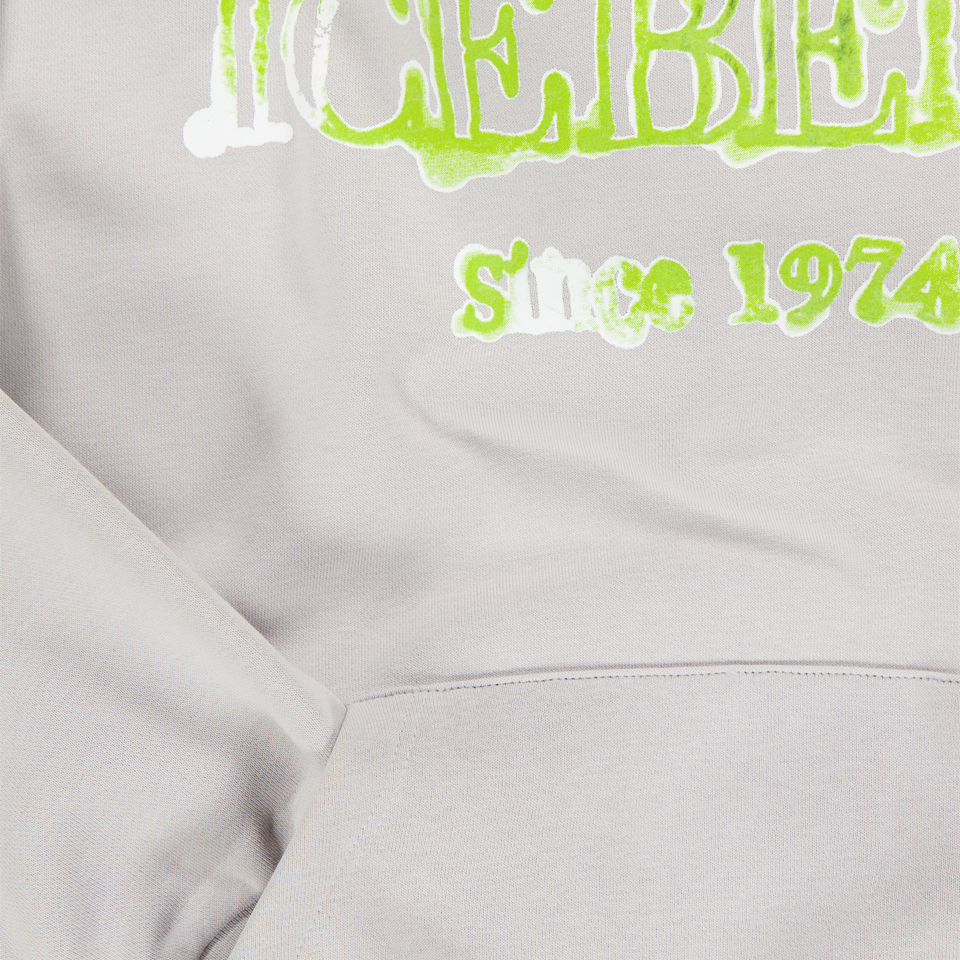 Iceberg Kids Boys Sweater  Light Gray