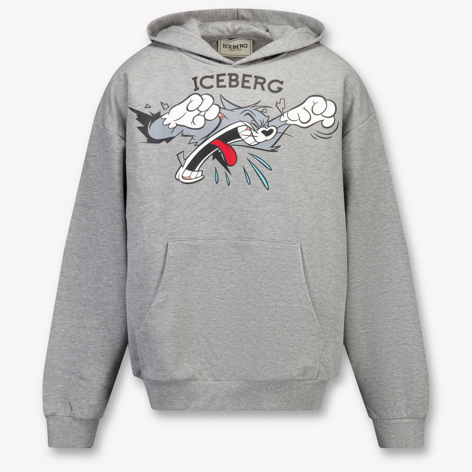 Iceberg Kids Boys Sweater  Gray