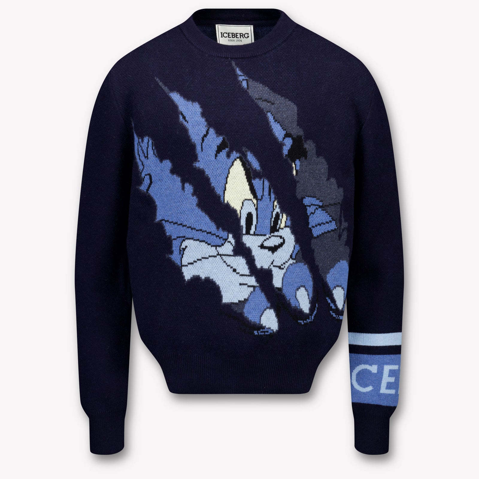 Iceberg Kids Boys Sweater  Navy