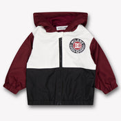 Dolce & Gabbana Baby Boys Summer jacket In Bordeaux