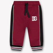 Dolce & Gabbana Baby Boys Pants In Bordeaux