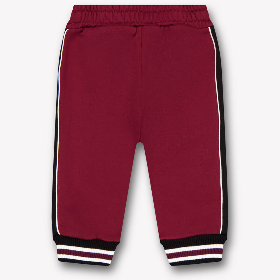 Dolce & Gabbana Baby Boys Pants In Bordeaux