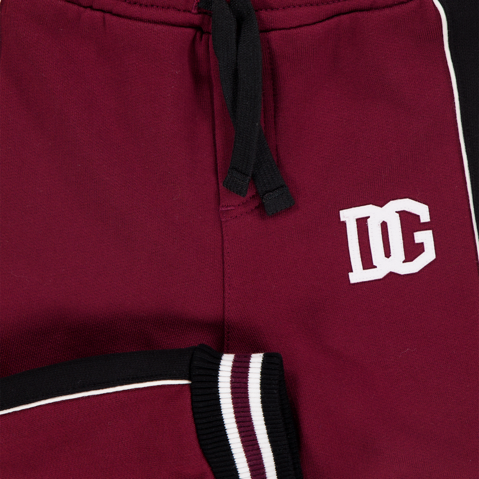 Dolce & Gabbana Baby Boys Pants In Bordeaux