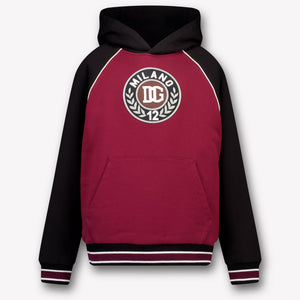 Dolce & Gabbana Kids Boys Sweater In Bordeaux