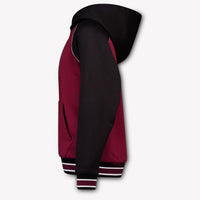 Dolce & Gabbana Kids Boys Sweater In Bordeaux