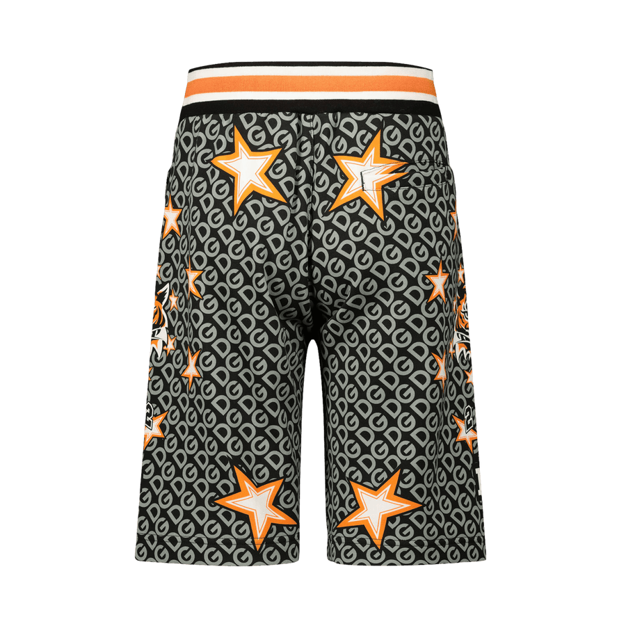 Dolce & Gabbana Kinder Jongens Shorts Grijs