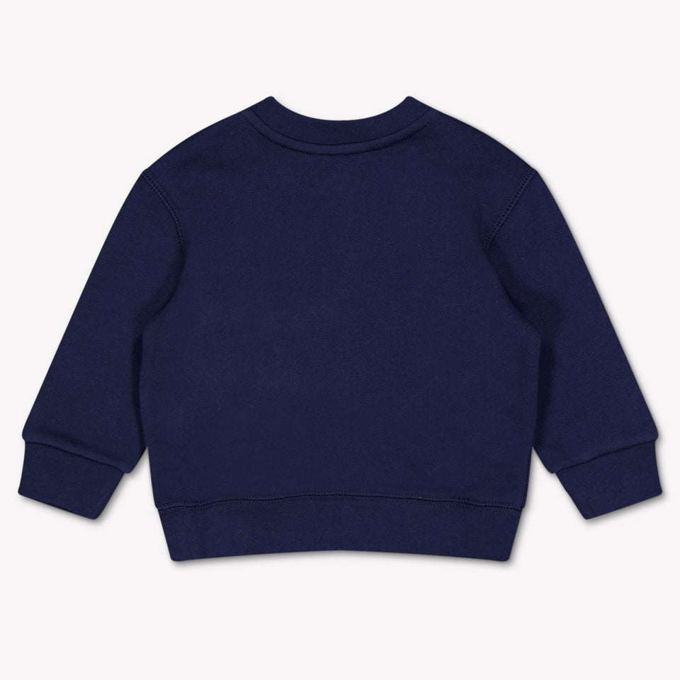Ralph Lauren Baby Boys Sweater In Navy