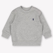Ralph Lauren Baby Boys Sweater In Gray