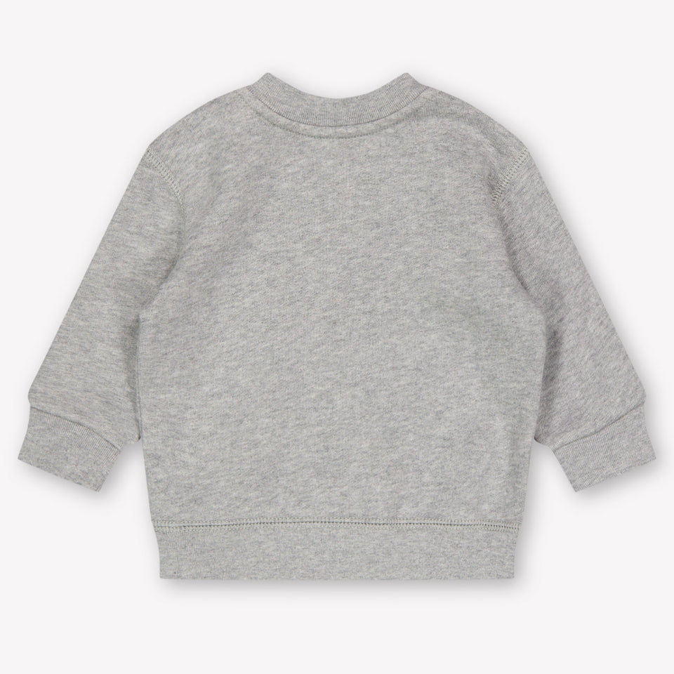 Ralph Lauren Baby Boys Sweater In Gray