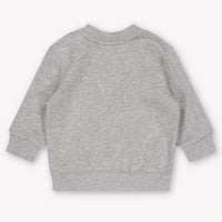 Ralph Lauren Baby Jongens Trui In Grijs