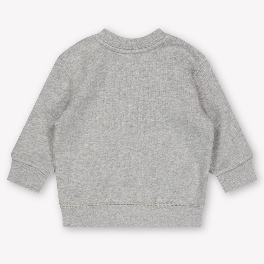 Ralph Lauren Baby Jongens Trui In Grijs