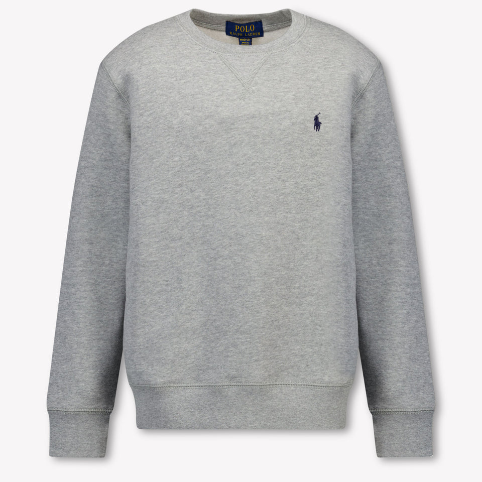 Ralph Lauren Kids Boys Sweater In Gray