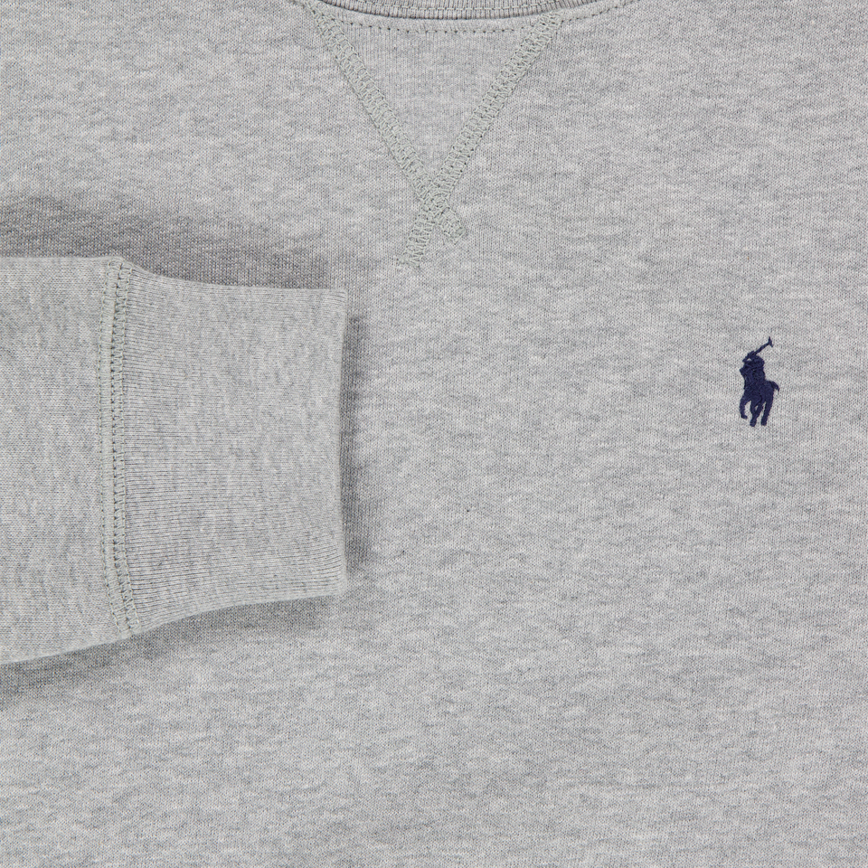 Ralph Lauren Kids Boys Sweater In Gray