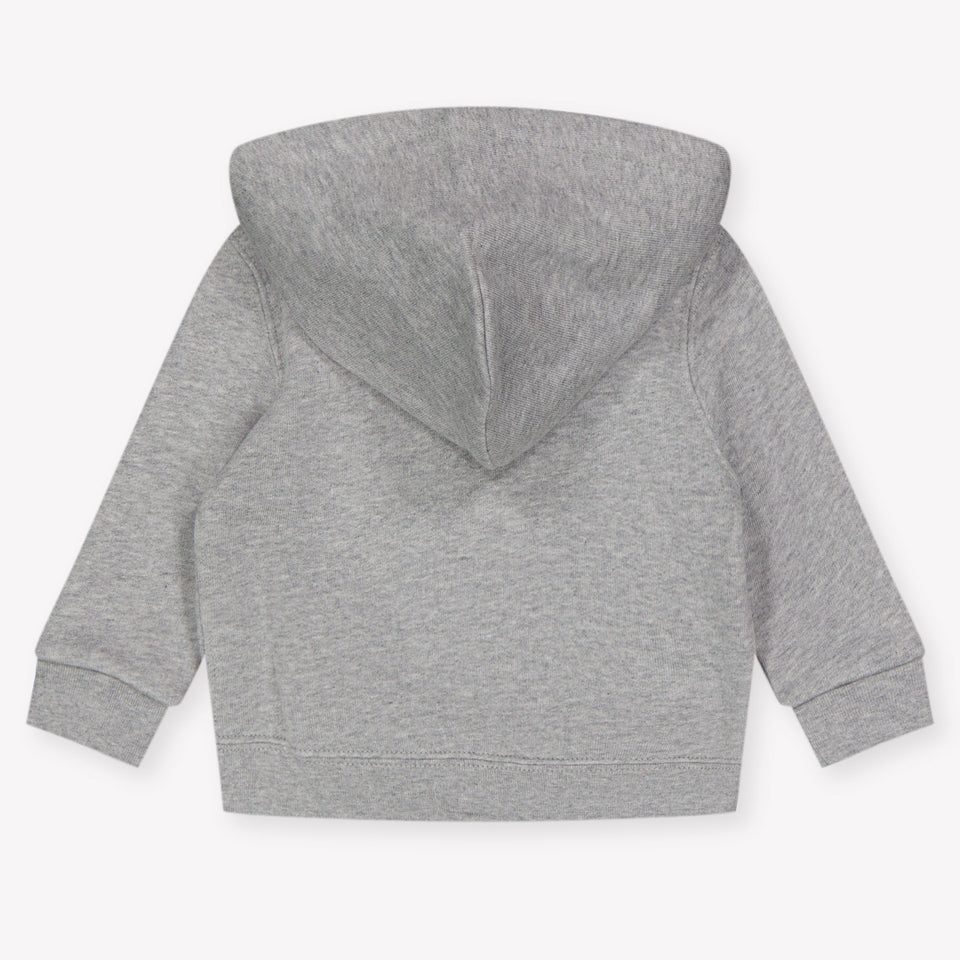 Ralph Lauren Baby Boys Cardigan In Gray