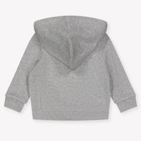 Ralph Lauren Baby Jongens Vest In Grijs