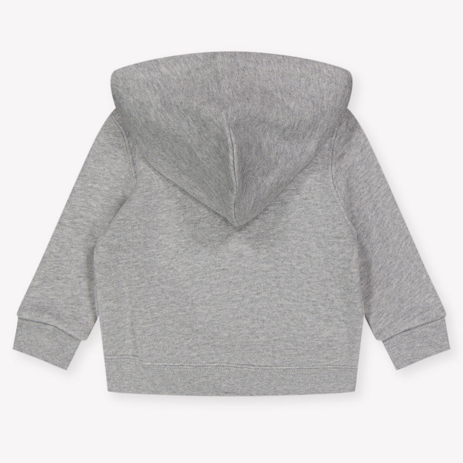 Ralph Lauren Baby Jongens Vest In Grijs