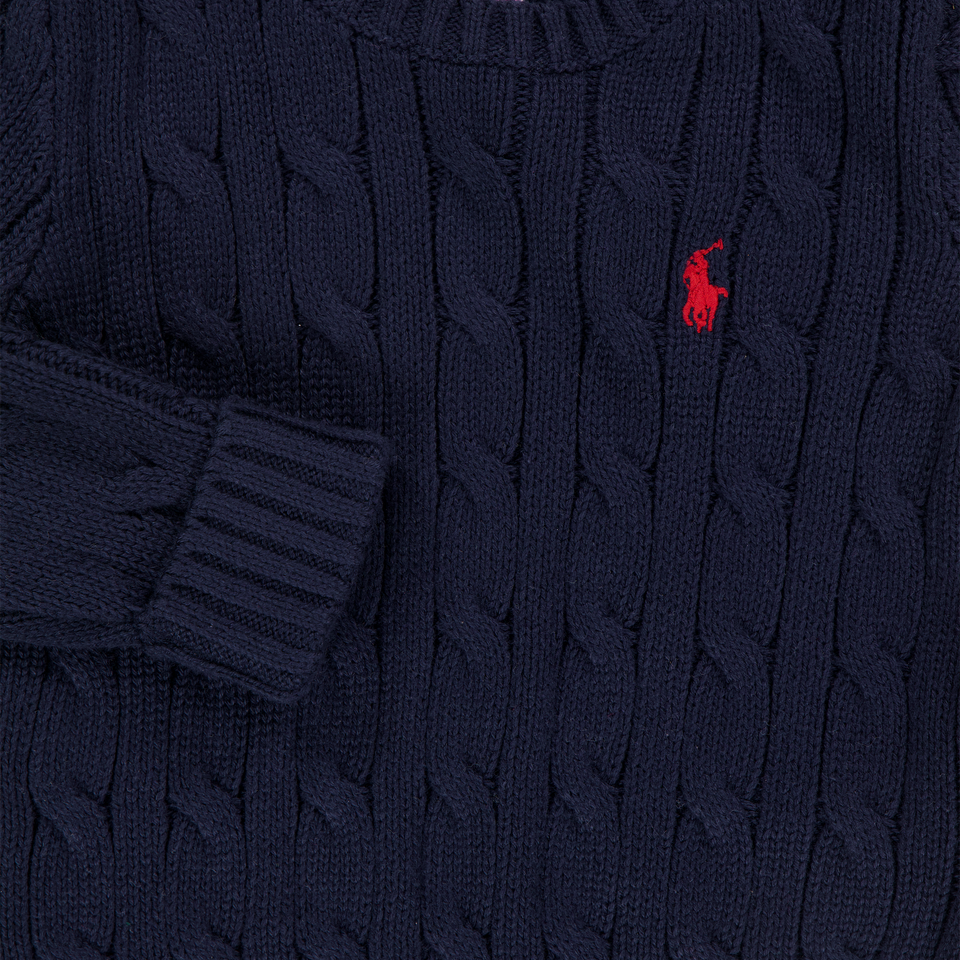Ralph Lauren Baby Boys Sweater In Navy