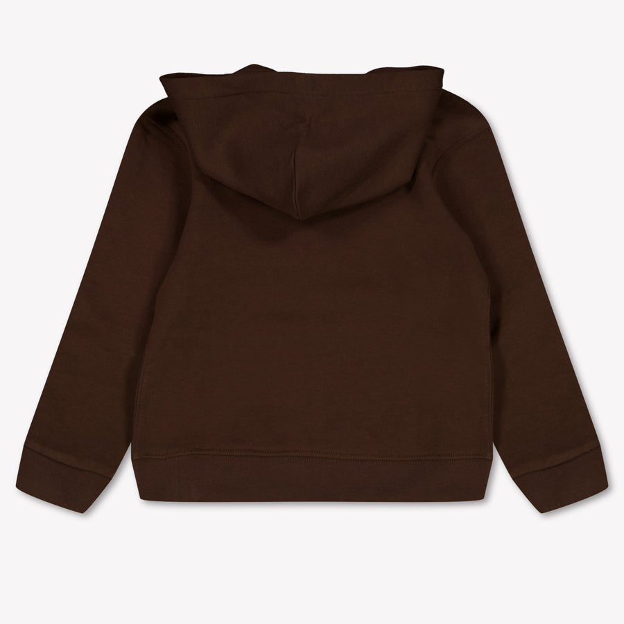 Ralph Lauren Kids Boys Sweater In Dark Brown