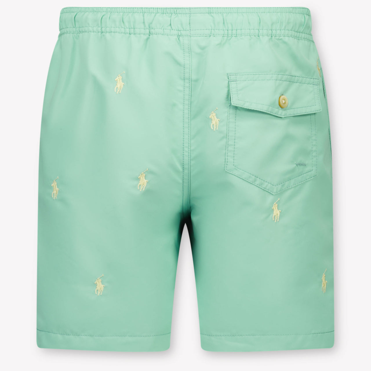 Ralph Lauren Kinder Jongens Zwemkleding In Licht Groen