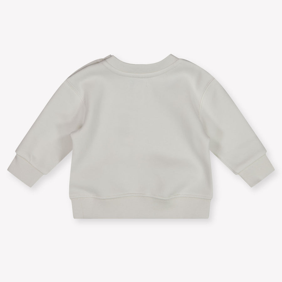 Ralph Lauren Baby Jongens Trui In Wit