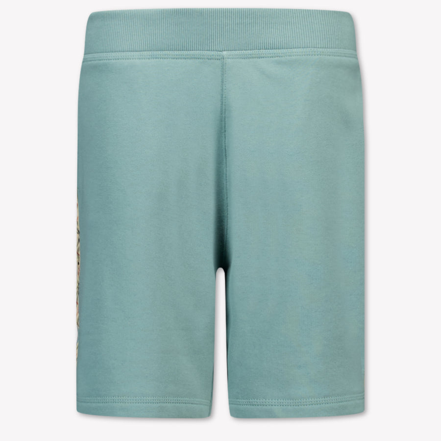 Burberry Banks Kinder Jongens Shorts In Groen
