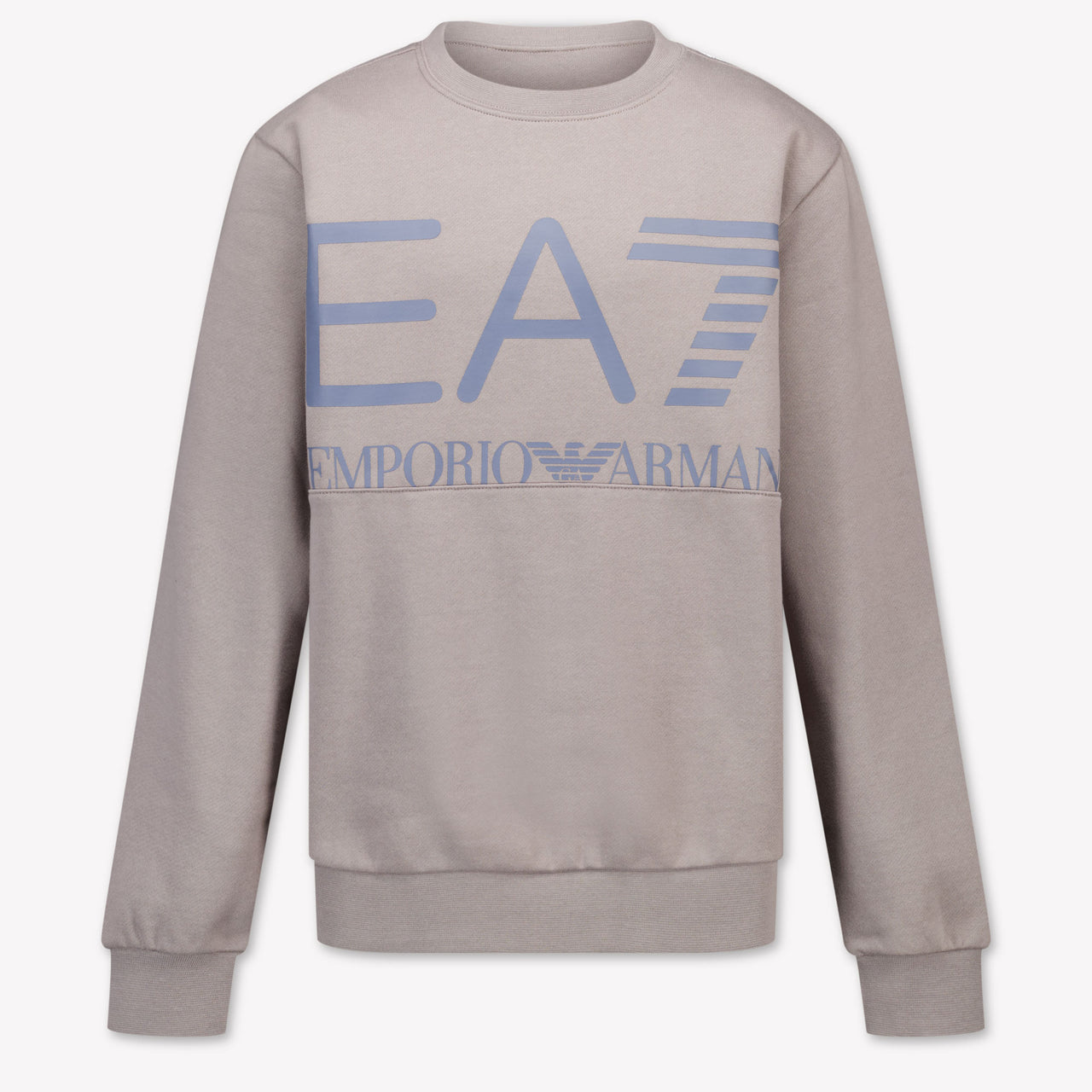 EA7 Boys Sweater in Light Grey