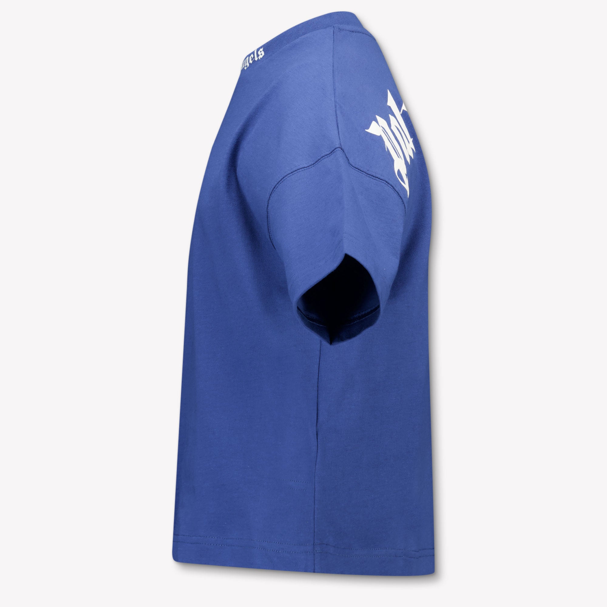 Palm Angels Kinder Jongens T-Shirt In Blauw