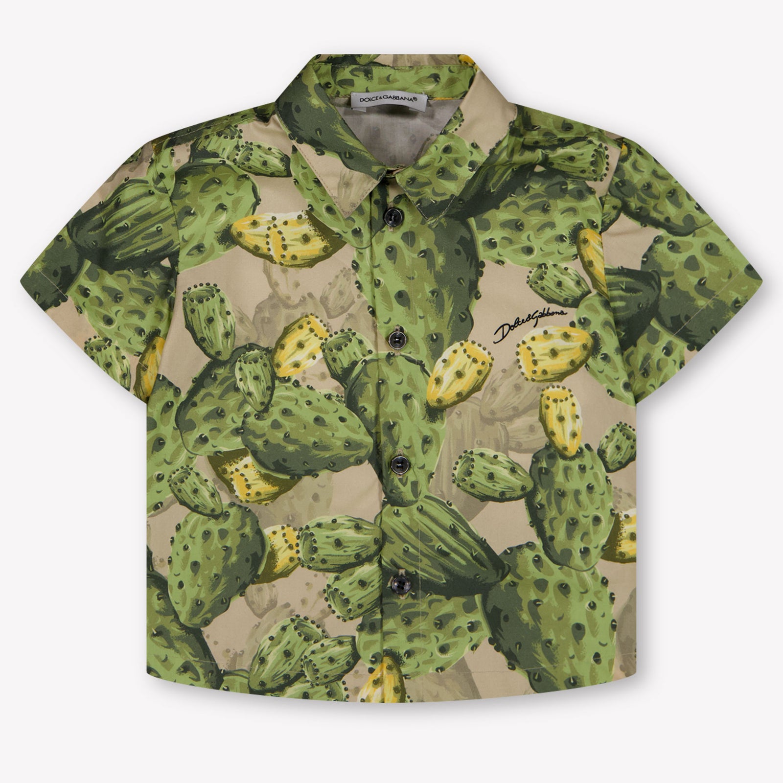 Dolce & Gabbana Baby Jongens Blouse In Groen