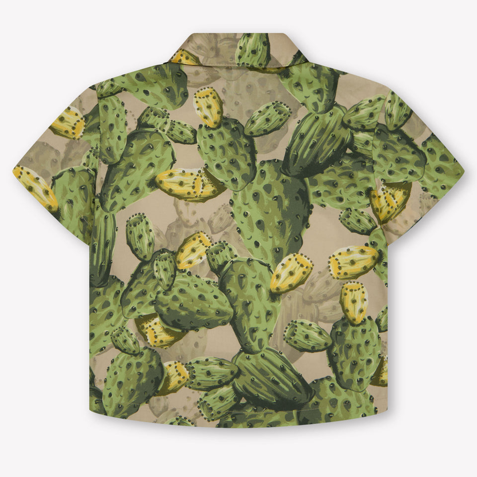 Dolce & Gabbana Baby Jongens Blouse In Groen