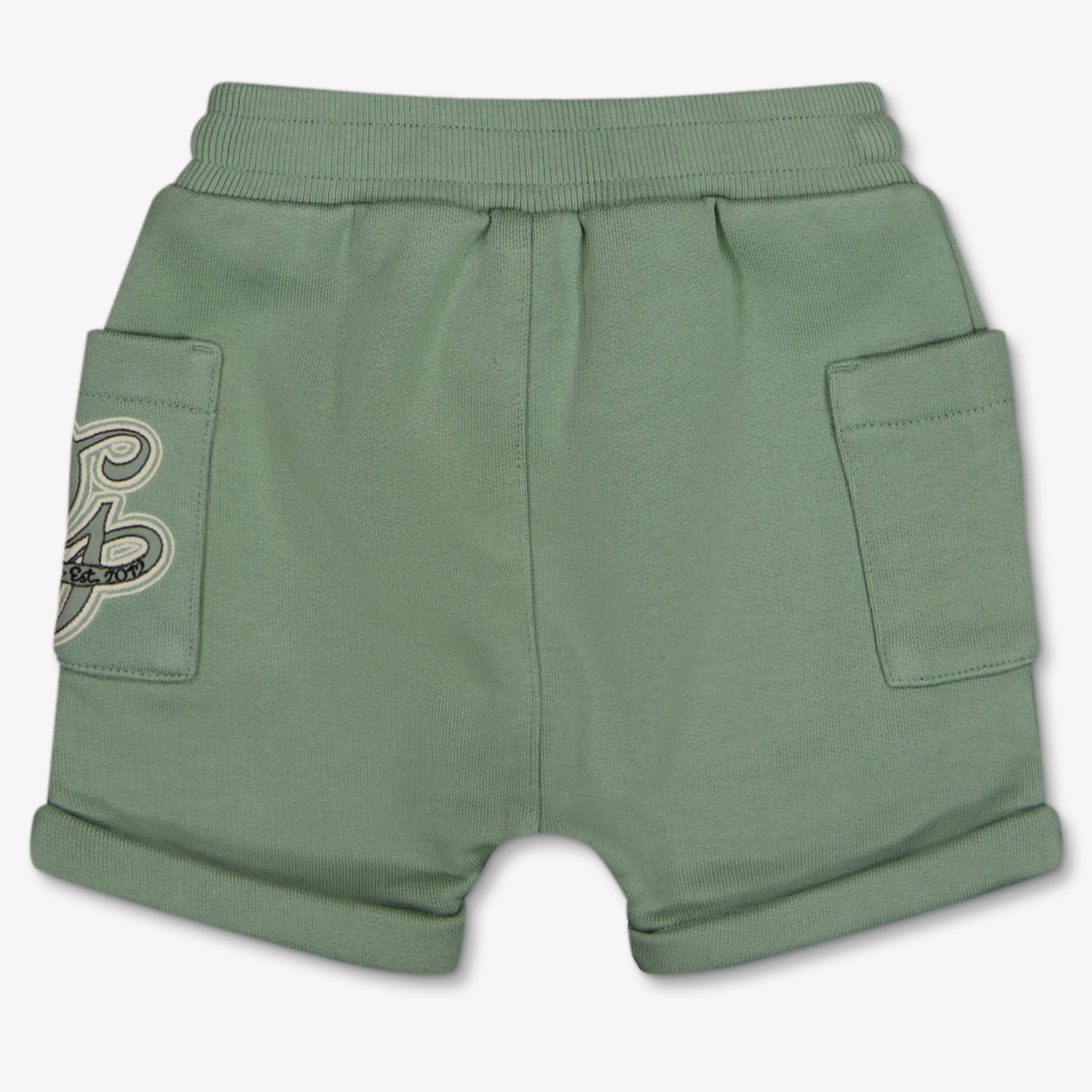Dolce & Gabbana Baby Jongens Shorts In Licht Groen