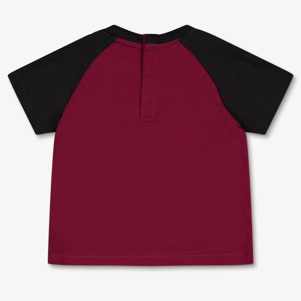 Dolce & Gabbana Baby Boys T-Shirt In Bordeaux