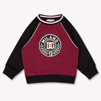 Dolce & Gabbana Baby Boys Sweater In Bordeaux