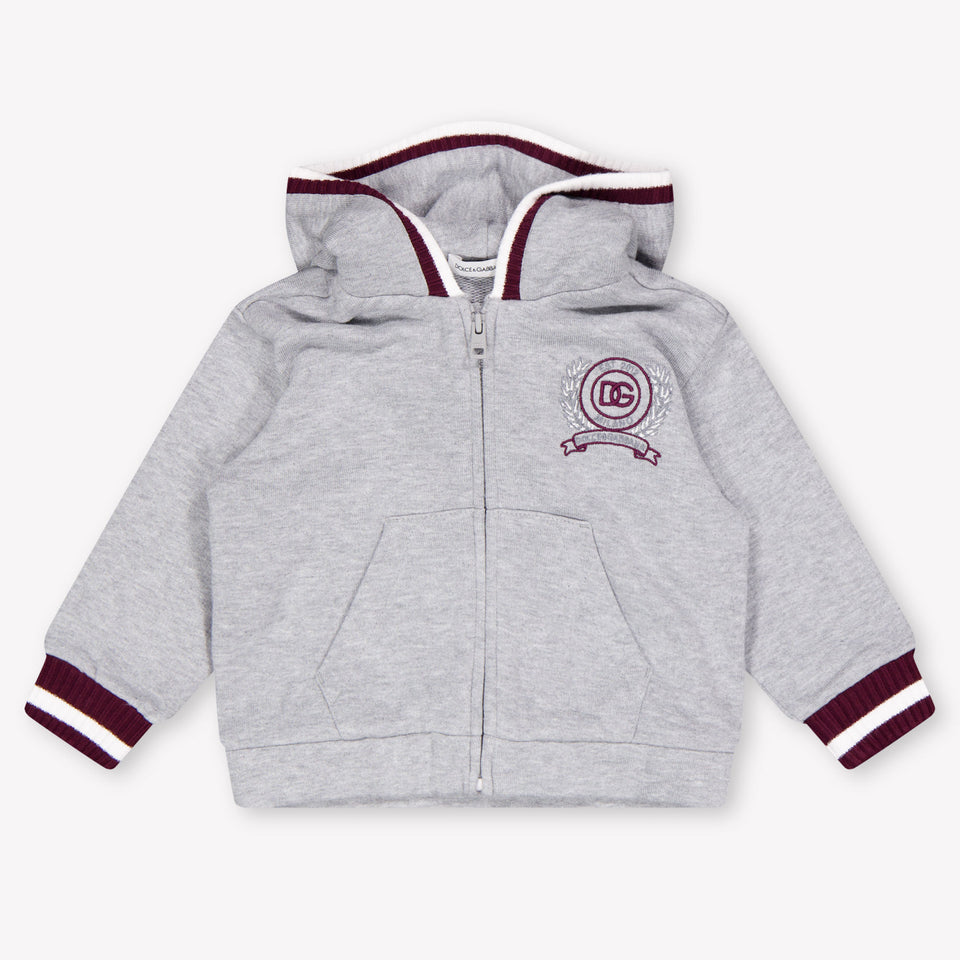 Dolce & Gabbana Baby Jongens Vest In Grijs