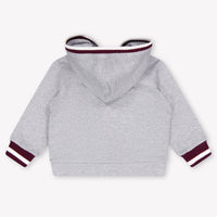 Dolce & Gabbana Baby Jongens Vest In Grijs