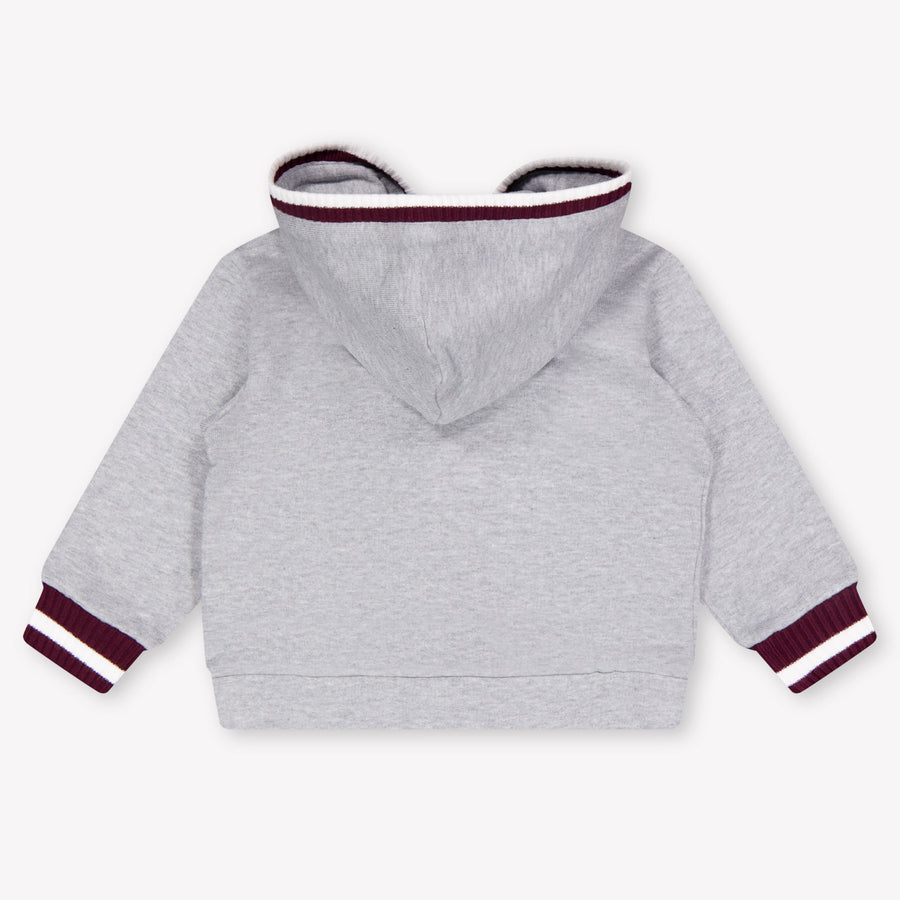 Dolce & Gabbana Baby Jongens Vest In Grijs