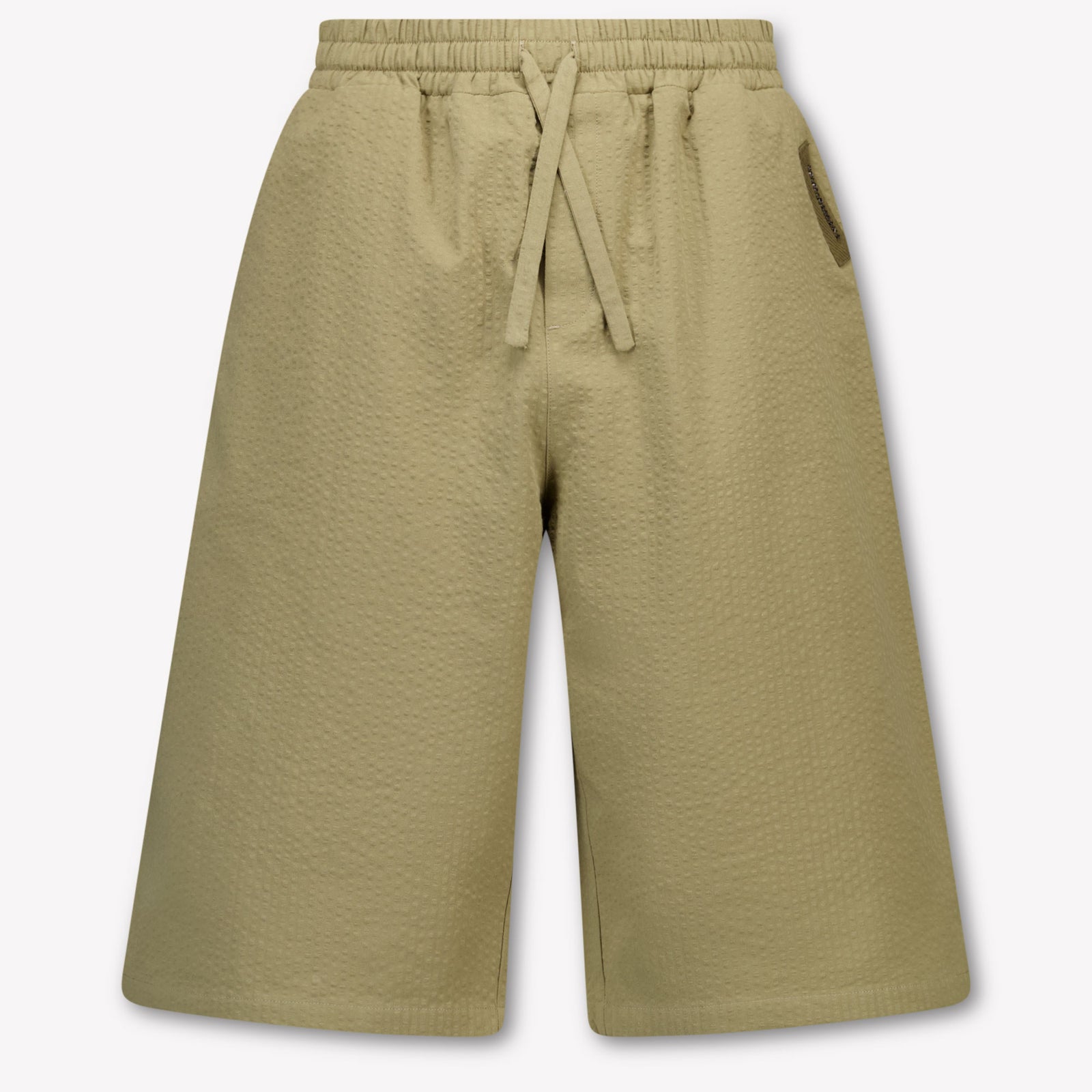 Dolce & Gabbana Kids Boys Shorts In Army